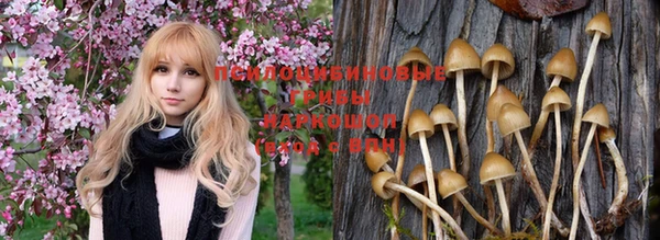 не бодяженный Аркадак