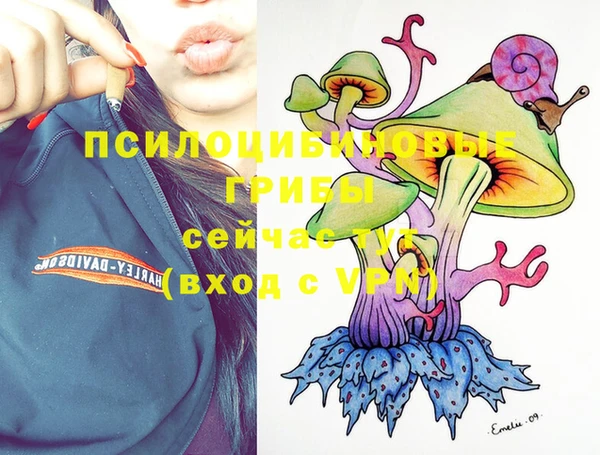 бошки Балахна
