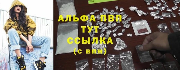 дживик Медвежьегорск