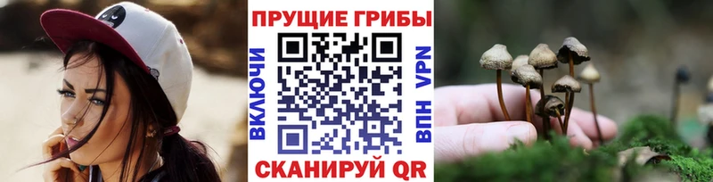 где продают наркотики  Ряжск  Псилоцибиновые грибы MAGIC MUSHROOMS 
